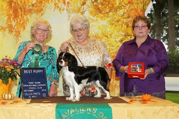 Best Puppy, Balgaire Wonderfully Wicked, Owners, Ruth Lerda, Janice Stanton